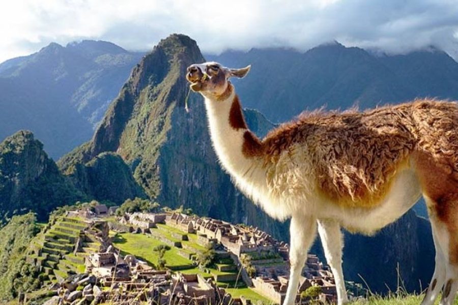 Cusco y Machu Picchu en Carro 6 Días y 5 Noches
