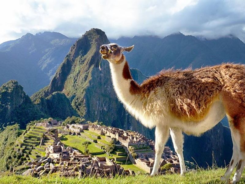 Cusco y Machu Picchu en Tren 4 Días y 3 Noches